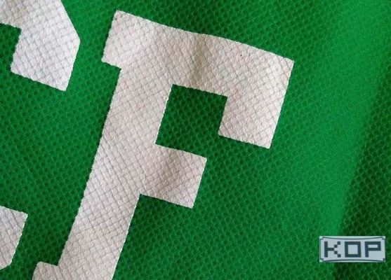Lona mate impresa tinta del Eco-Solvente del tinte del pigmento de la No-Armadura del poliéster